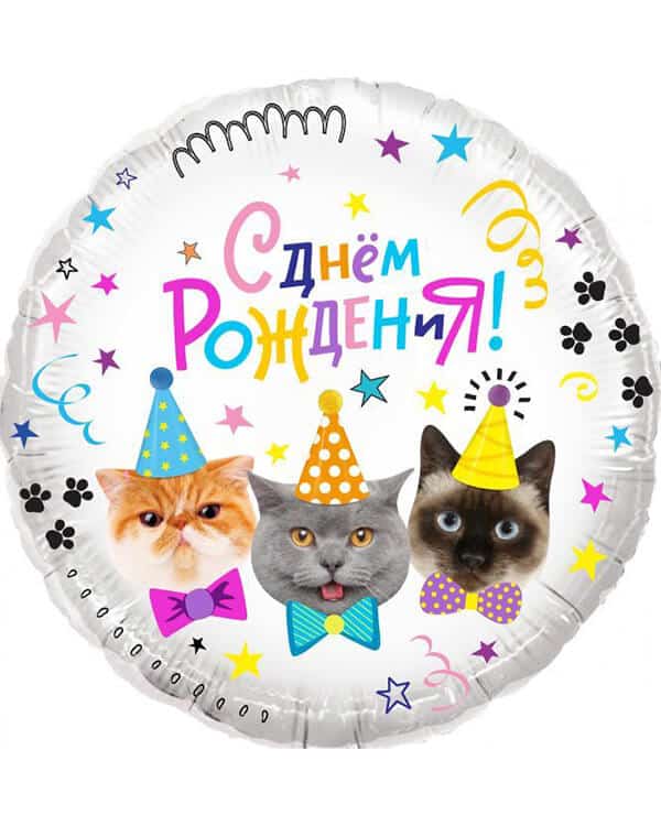 Круг Котики С Днем Рождения! — изображение 1